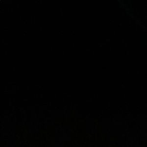 Meet your Posher, Jarrett